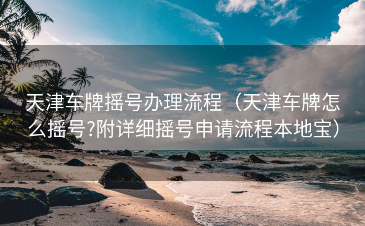 天津车牌摇号办理流程（天津车牌怎么摇号?附详细摇号申请流程本地宝）