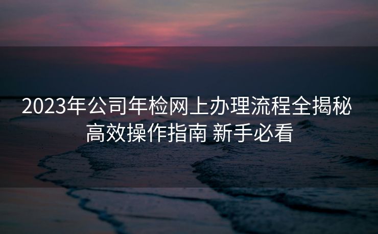 2023年公司年检网上办理流程全揭秘 高效操作指南 新手必看 2023年公司年检网上办理流程全揭秘 高效操作指南 新手必看