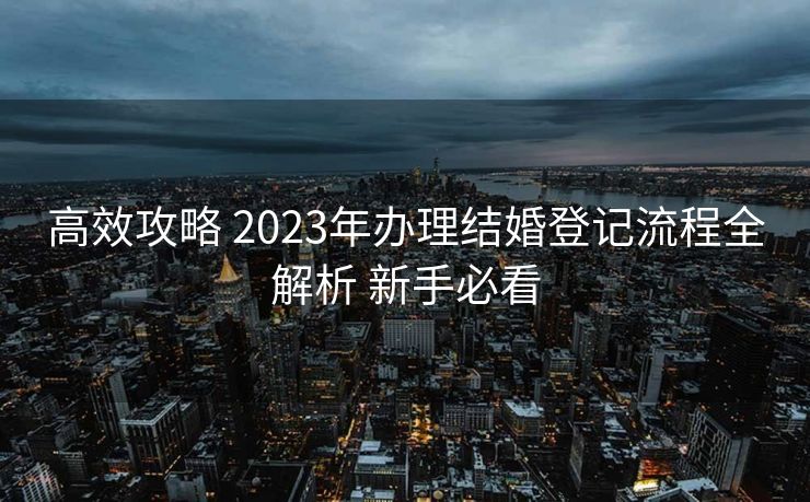 高效攻略 2023年办理结婚登记流程全解析 新手必看