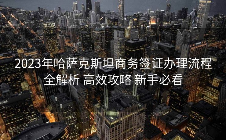 2023年哈萨克斯坦商务签证办理流程全解析 高效攻略 新手必看