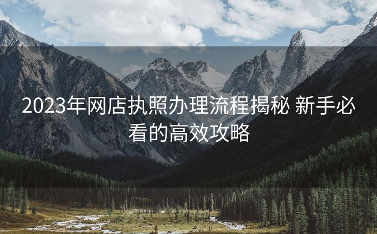 2023年网店执照办理流程揭秘 新手必看的高效攻略