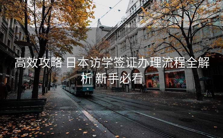 高效攻略 日本访学签证办理流程全解析 新手必看 高效攻略 日本访学签证办理流程全解析 新手必看