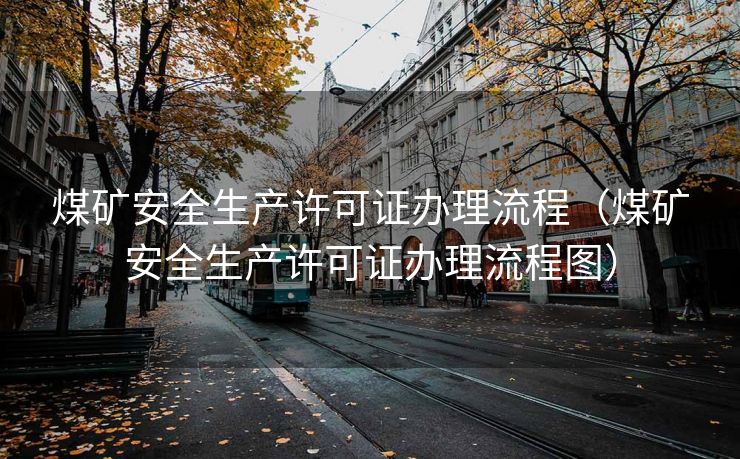 煤矿安全生产许可证办理流程（煤矿安全生产许可证办理流程图）