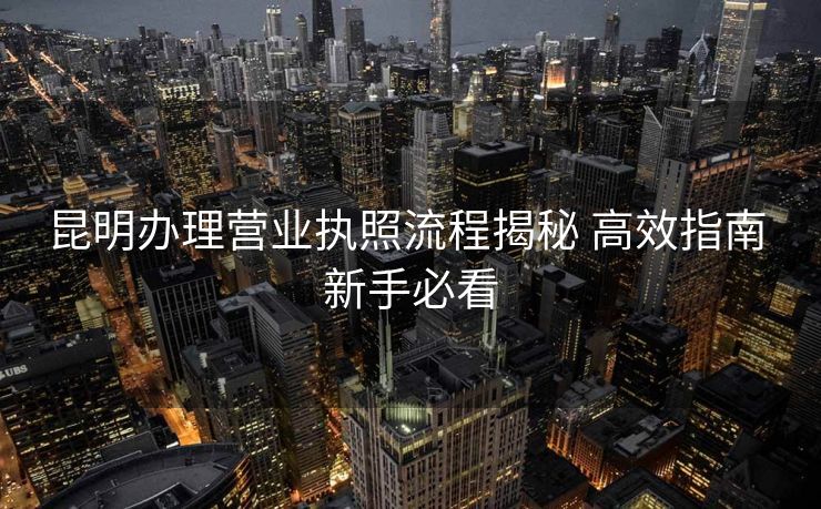 昆明办理营业执照流程揭秘 高效指南 新手必看 昆明办理营业执照流程揭秘 高效指南 新手必看