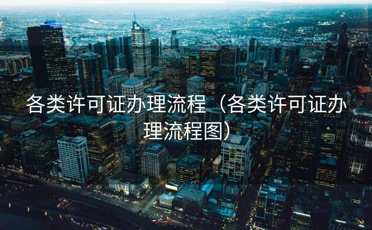 各类许可证办理流程（各类许可证办理流程图）