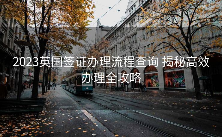 2023英国签证办理流程查询 揭秘高效办理全攻略
