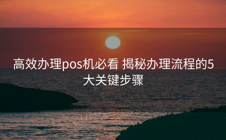 高效办理pos机必看 揭秘办理流程的5大关键步骤