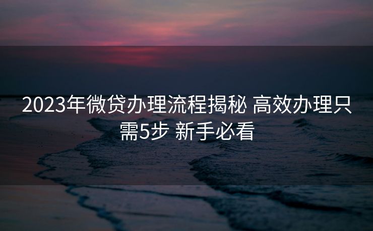 2023年微贷办理流程揭秘 高效办理只需5步 新手必看