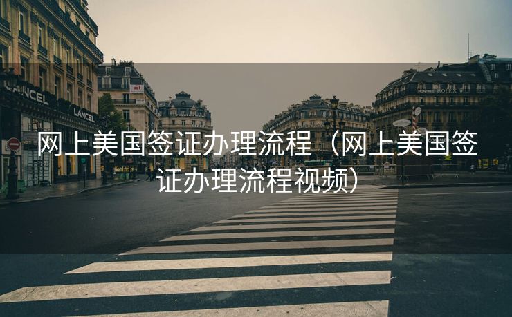网上美国签证办理流程（网上美国签证办理流程视频）