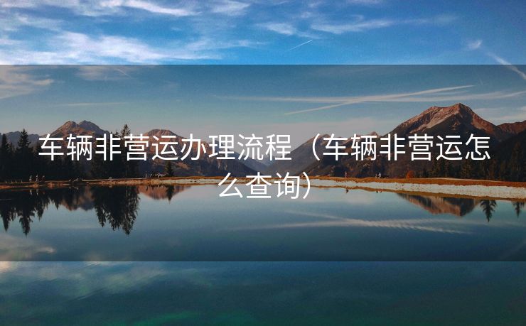 车辆非营运办理流程（车辆非营运怎么查询）
