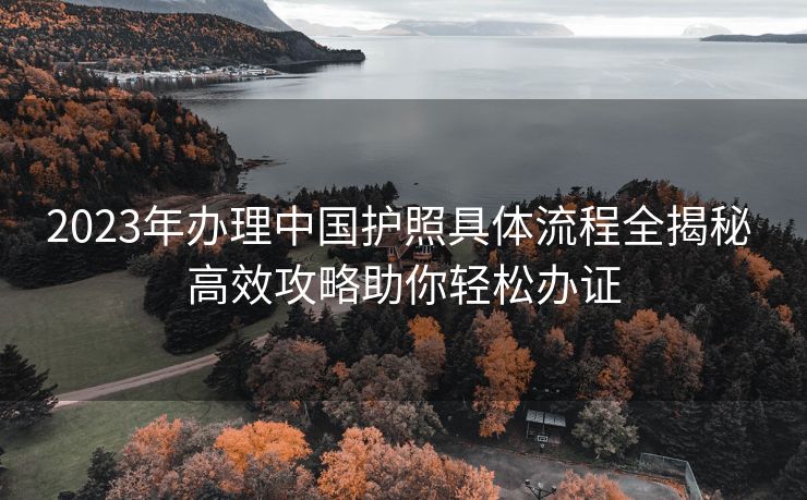2023年办理中国护照具体流程全揭秘 高效攻略助你轻松办证