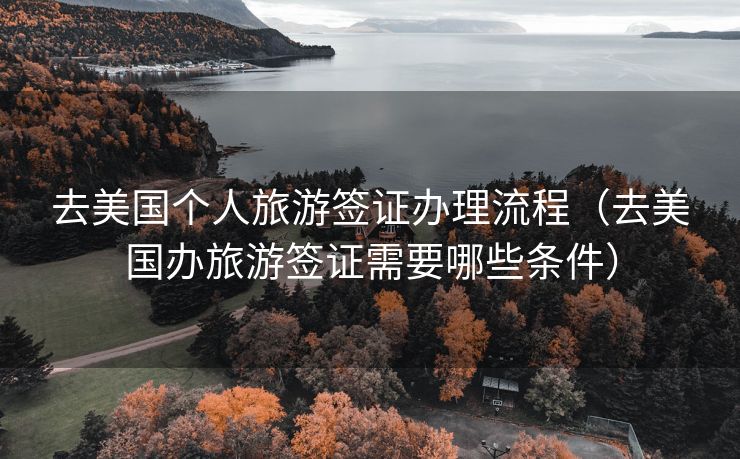 去美国个人旅游签证办理流程（去美国办旅游签证需要哪些条件）