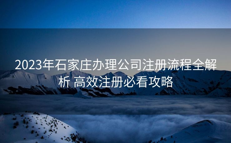 2023年石家庄办理公司注册流程全解析 高效注册必看攻略