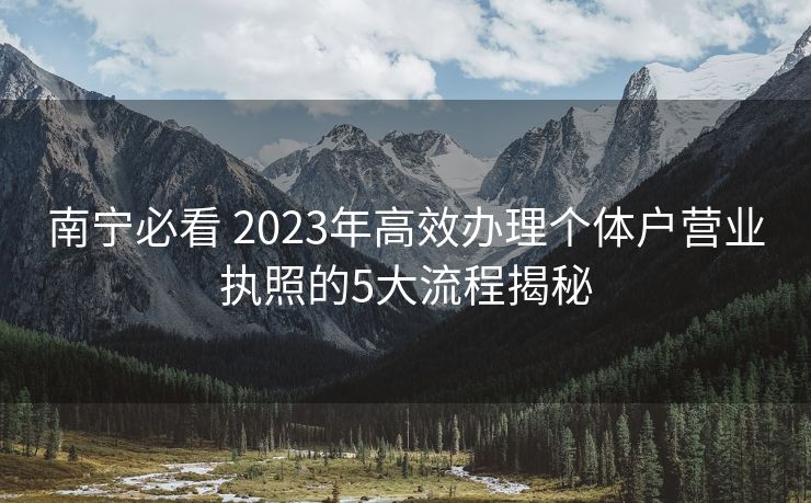 南宁必看 2023年高效办理个体户营业执照的5大流程揭秘