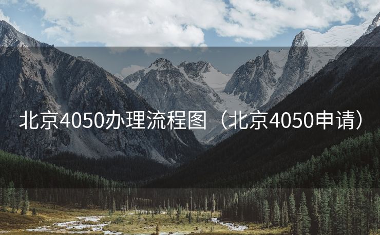 北京4050办理流程图（北京4050申请）