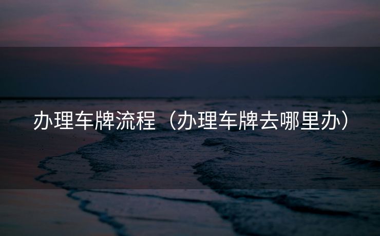 办理车牌流程(办理车牌去哪里办) 办理车牌流程(办理车牌去哪里办)
