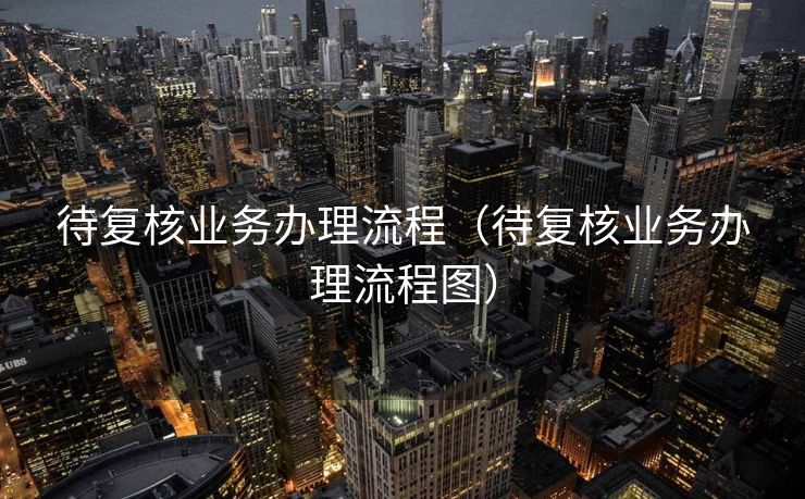 待复核业务办理流程（待复核业务办理流程图）