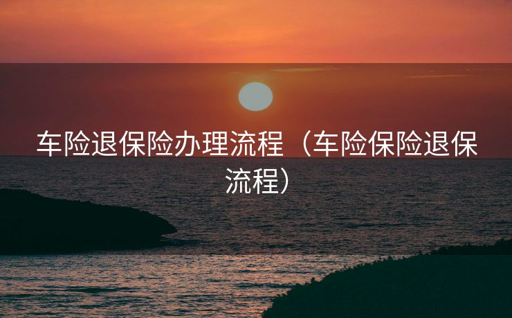 车险退保险办理流程（车险保险退保流程）