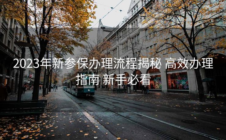 2023年新参保办理流程揭秘 高效办理指南 新手必看