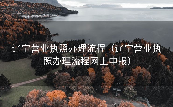 辽宁营业执照办理流程(辽宁营业执照办理流程网上申报) 辽宁营业执照办理流程(辽宁营业执照办理流程网上申报)