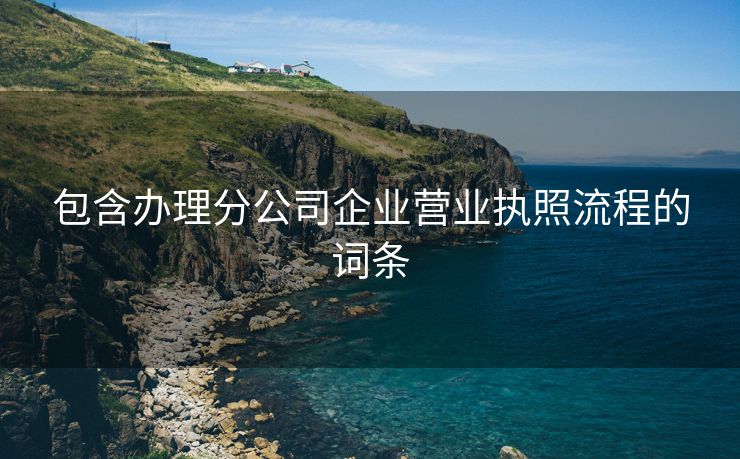 包含办理分公司企业营业执照流程的词条 包含办理分公司企业营业执照流程的词条