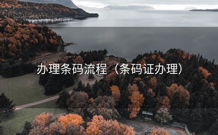 办理条码流程（条码证办理）