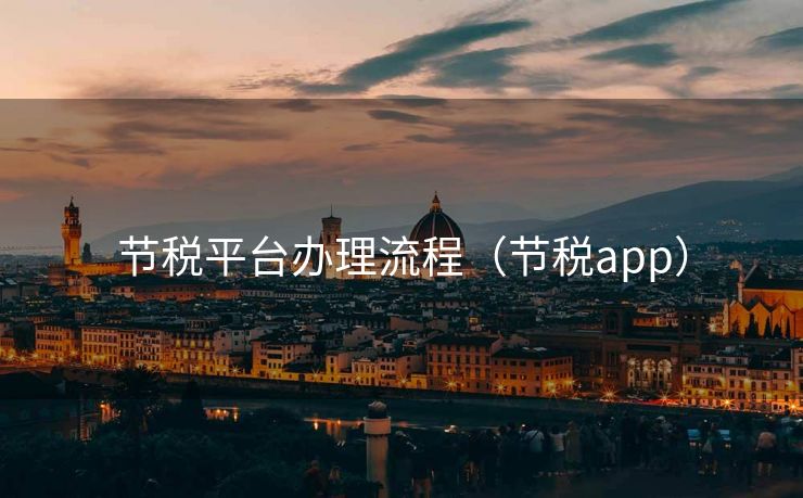 节税平台办理流程（节税app）