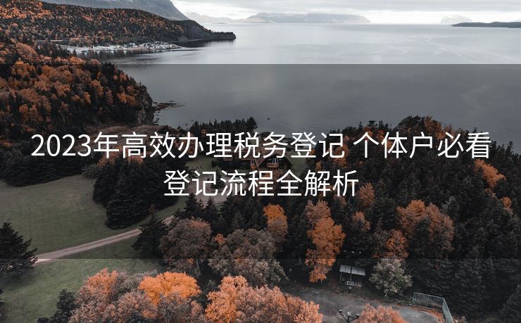 2023年高效办理税务登记 个体户必看登记流程全解析 2023年高效办理税务登记 个体户必看登记流程全解析