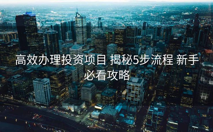 高效办理投资项目 揭秘5步流程 新手必看攻略