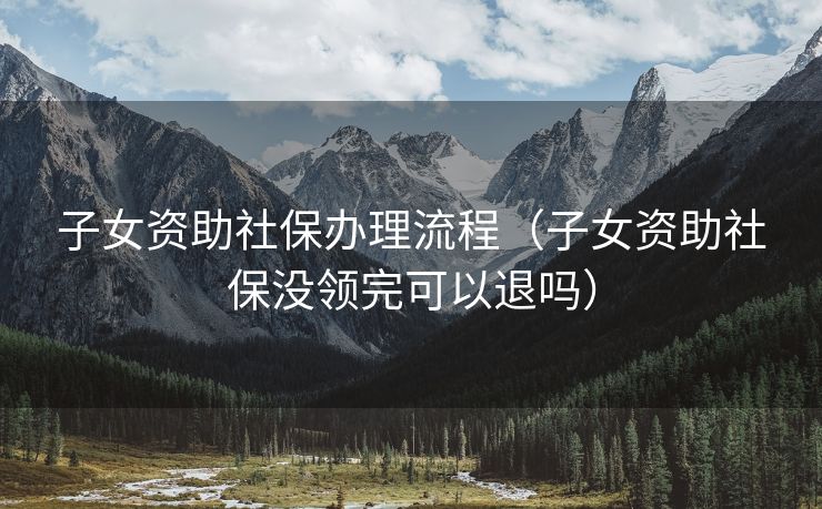 子女资助社保办理流程（子女资助社保没领完可以退吗）
