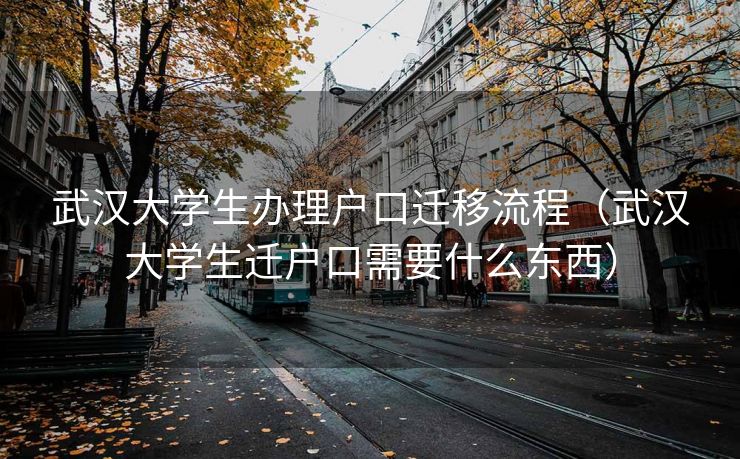 武汉大学生办理户口迁移流程（武汉大学生迁户口需要什么东西）