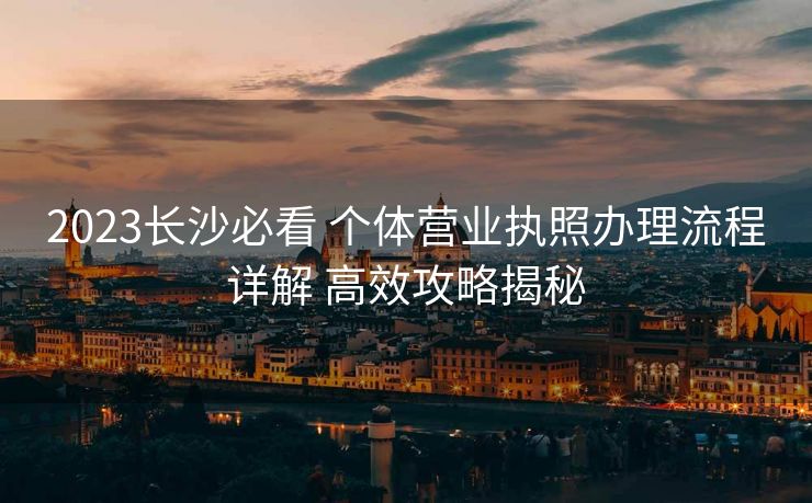 2023长沙必看 个体营业执照办理流程详解 高效攻略揭秘 2023长沙必看 个体营业执照办理流程详解 高效攻略揭秘