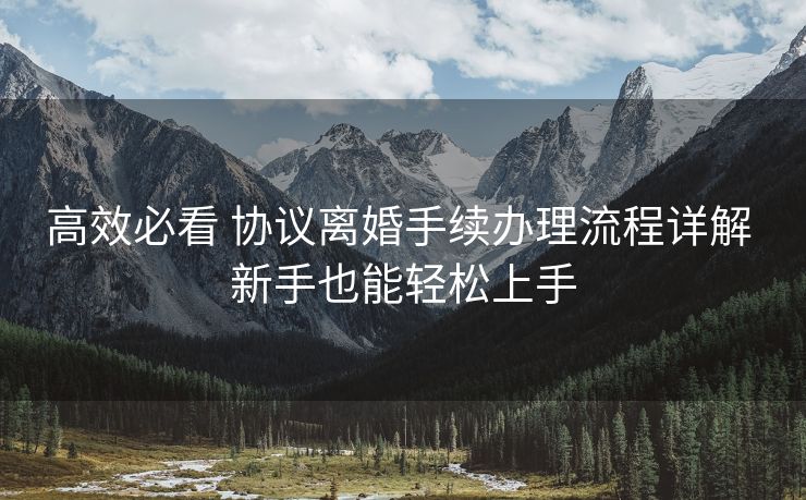 高效必看 协议离婚手续办理流程详解 新手也能轻松上手 高效必看 协议离婚手续办理流程详解 新手也能轻松上手