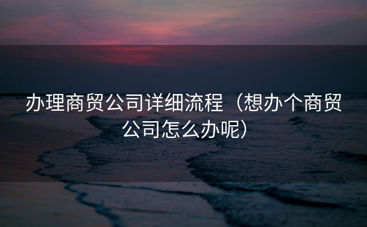 办理商贸公司详细流程（想办个商贸公司怎么办呢）
