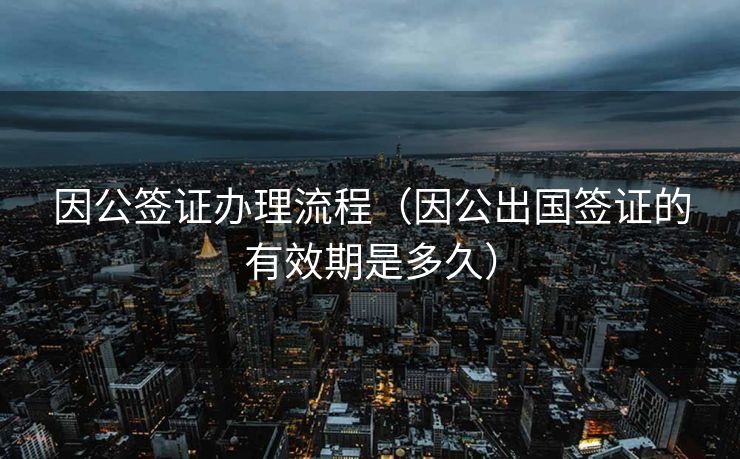 因公签证办理流程（因公出国签证的有效期是多久）