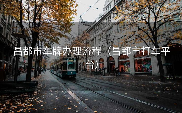 昌都市车牌办理流程(昌都市打车平台) 昌都市车牌办理流程(昌都市打车平台)