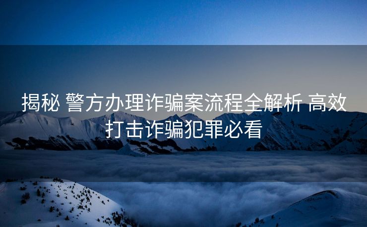 揭秘 警方办理诈骗案流程全解析 高效打击诈骗犯罪必看
