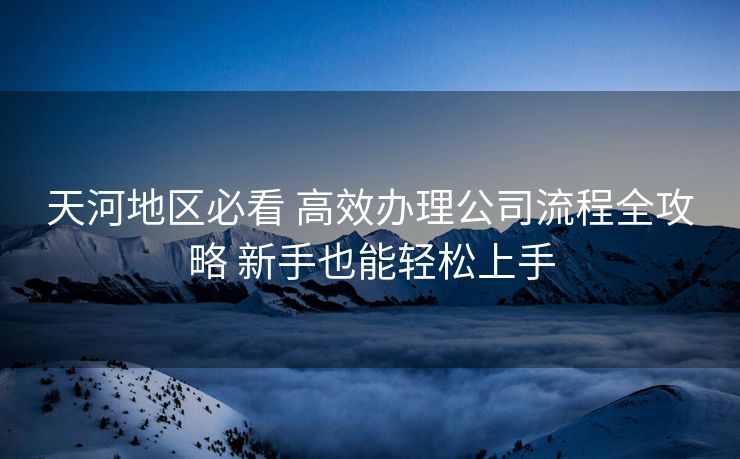 天河地区必看 高效办理公司流程全攻略 新手也能轻松上手