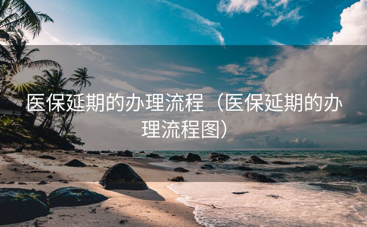 医保延期的办理流程（医保延期的办理流程图）