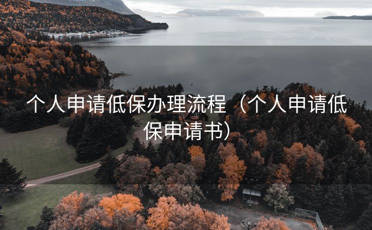 个人申请低保办理流程（个人申请低保申请书）
