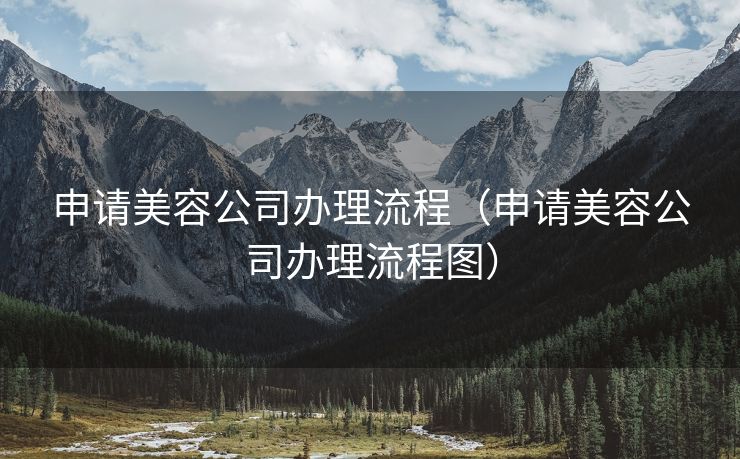 申请美容公司办理流程（申请美容公司办理流程图）