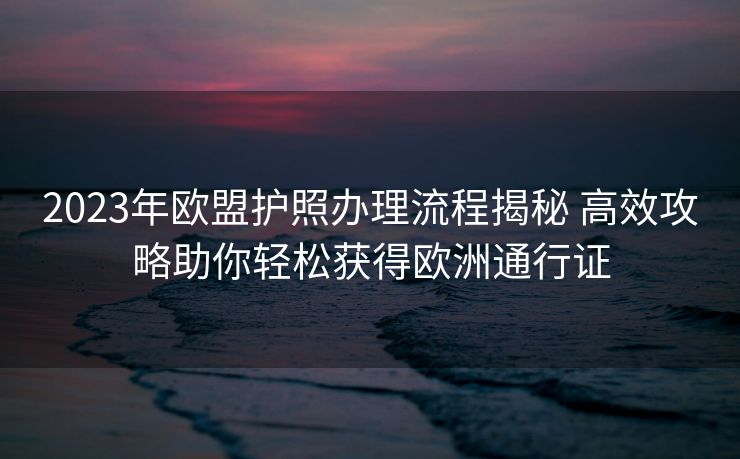 2023年欧盟护照办理流程揭秘 高效攻略助你轻松获得欧洲通行证