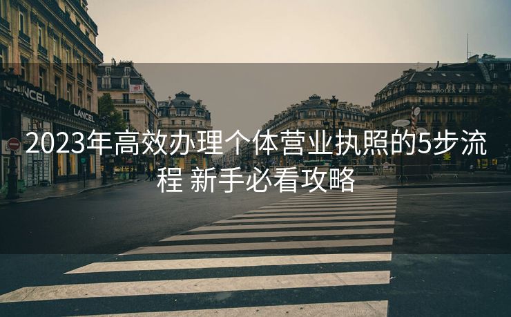 2023年高效办理个体营业执照的5步流程 新手必看攻略