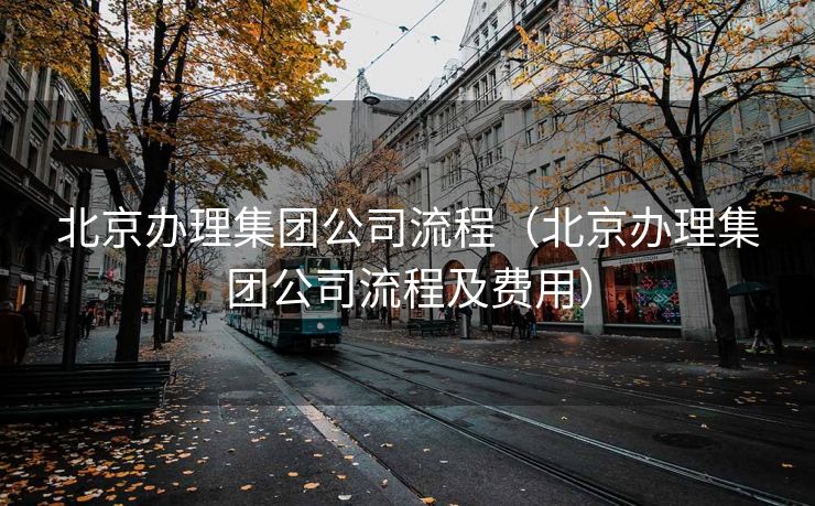 北京办理集团公司流程（北京办理集团公司流程及费用）