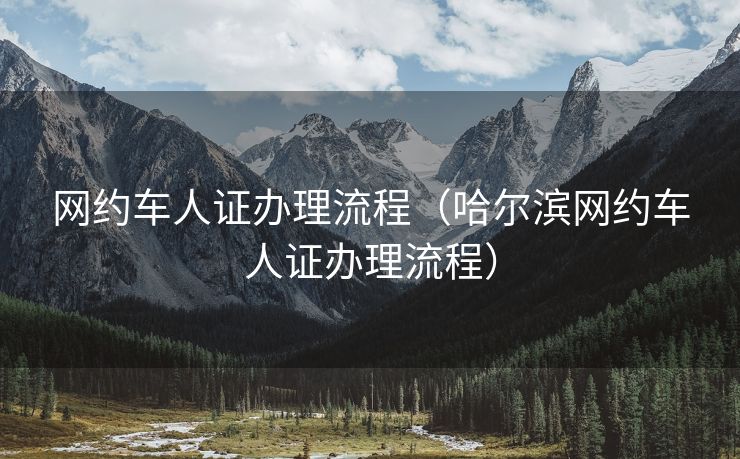 网约车人证办理流程（哈尔滨网约车人证办理流程）