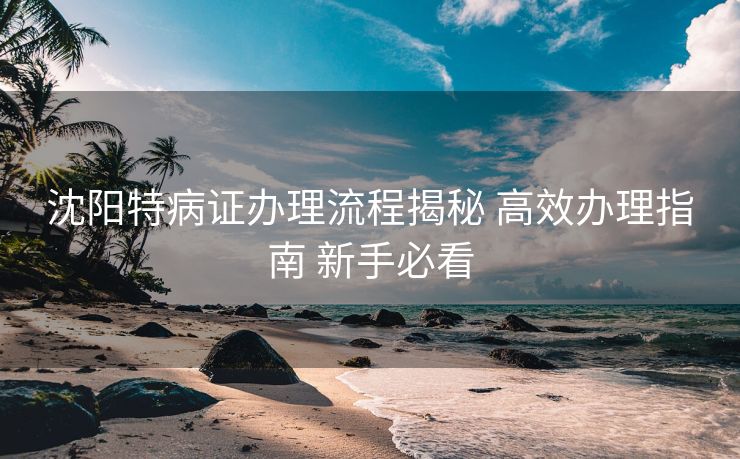 沈阳特病证办理流程揭秘 高效办理指南 新手必看 沈阳特病证办理流程揭秘 高效办理指南 新手必看