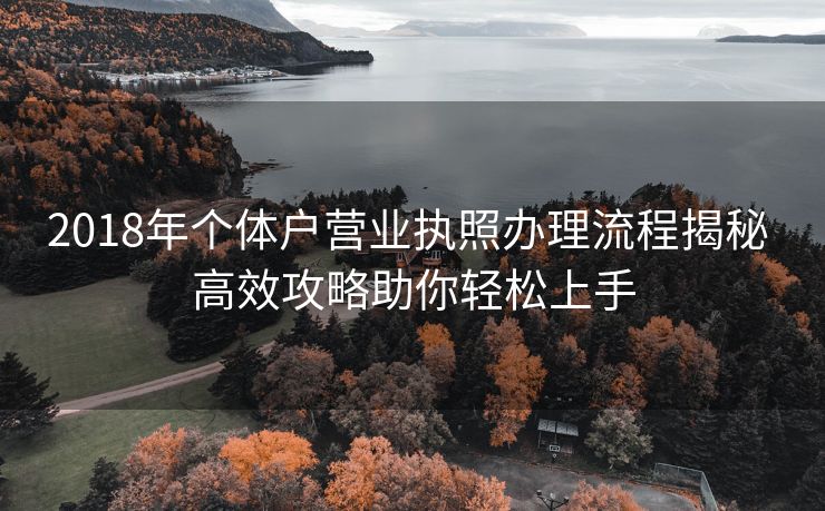2018年个体户营业执照办理流程揭秘 高效攻略助你轻松上手 2018年个体户营业执照办理流程揭秘 高效攻略助你轻松上手