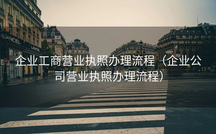 企业工商营业执照办理流程（企业公司营业执照办理流程）