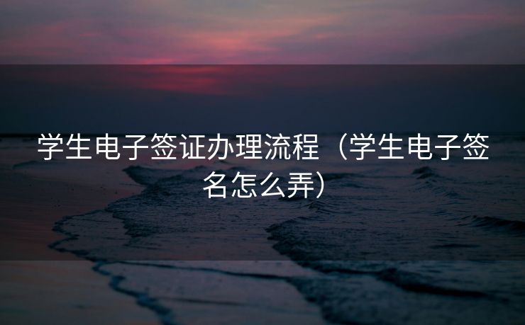 学生电子签证办理流程（学生电子签名怎么弄）