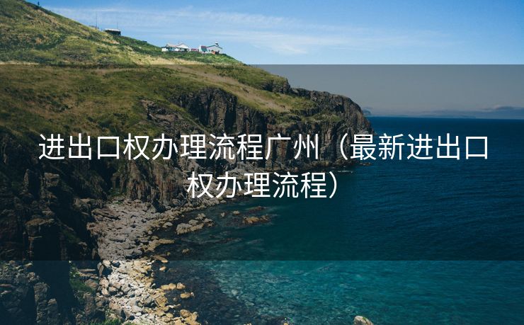 进出口权办理流程广州（最新进出口权办理流程）
